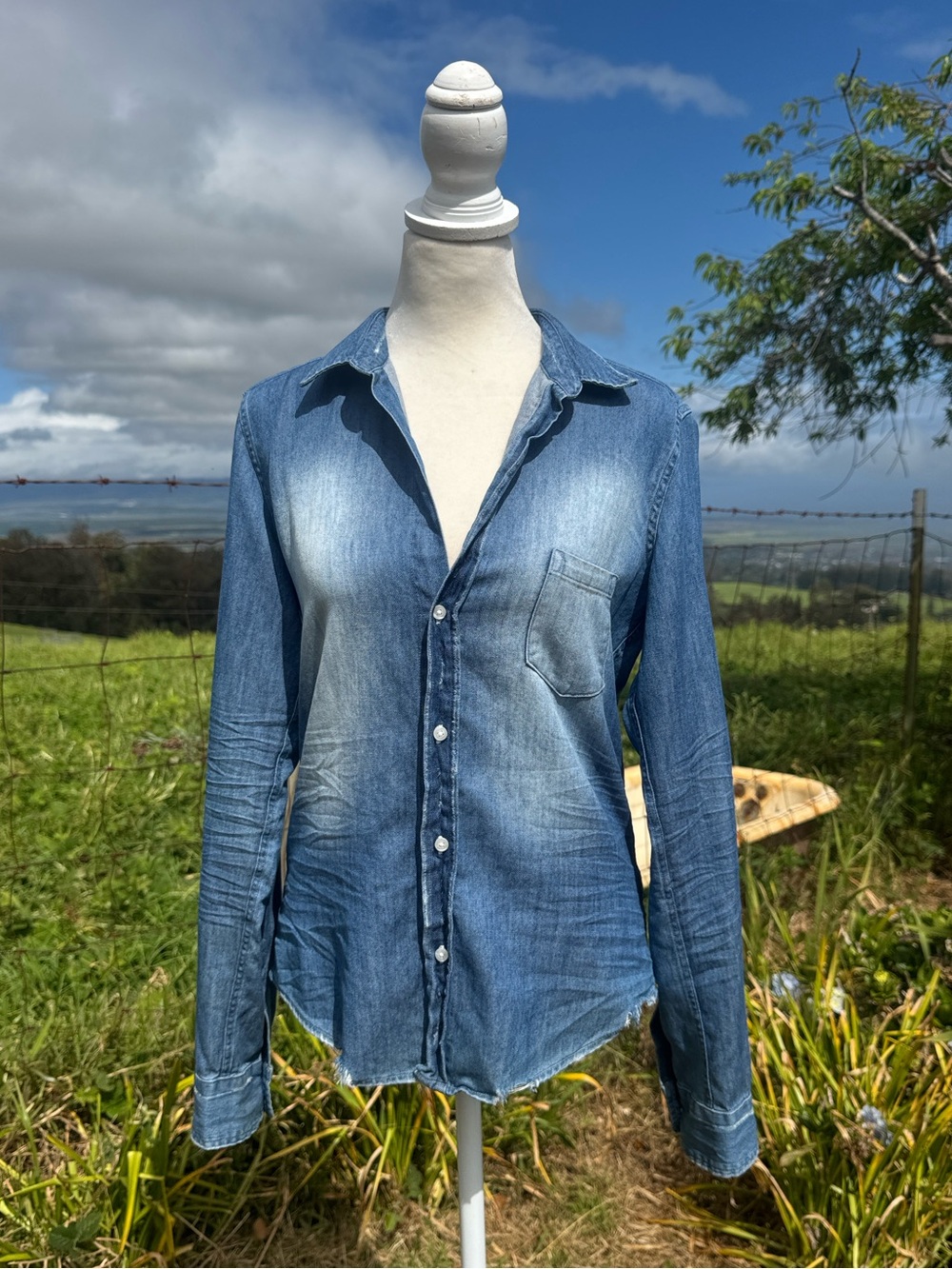 Frank & Eileen Barry Woven Button Up in Vintage Stonewashed Indigo Western XS